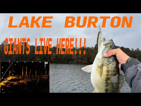 Видео: В ОЗЕРЕ БЕРТОН ОБИТАЕТСЯ САМАЯ БОЛЬШАЯ РЫБА В ШТАТЕ!!! (Ловим ОГРОМНОГО осеннего окуня с помощью ...