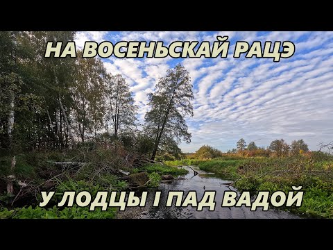 Видео: У лодцы і пад вадой. Вандроўка сярод карчаг