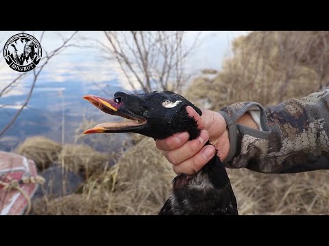Видео: Охота на горных озерах Якутии!