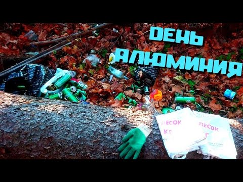 Видео: НОВОЕ МЕСТО ДЛЯ СБОРА МЕТАЛЛОЛОМА! КУЧА АЛЮМИНИЕВЫХ БАНОК В ЛЕСУ!