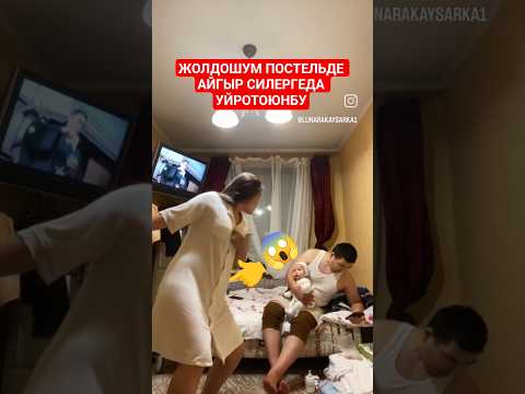 Видео: 14 ноября 2025 г.