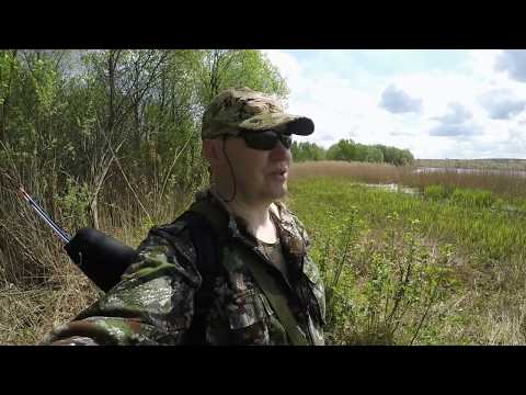 Видео: Выбор места для охоты с луком на рыбу 2ч