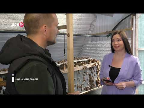 Видео: Телеканал Дон 24 в гостях у Алексея Чернявского на его улиточной ферме.