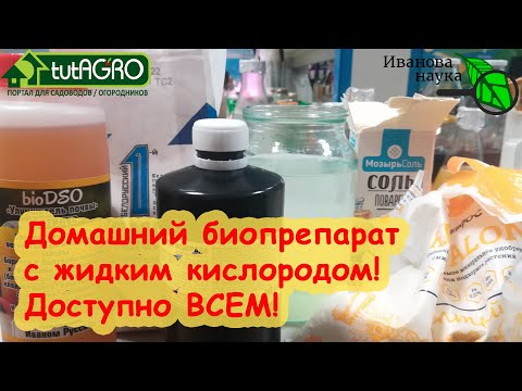 Видео: ВЫРАЩИВАЕМ ДОМАШНИЕ БИОПРЕПАРАТЫ. Очень простой способ с перекисью водорода. Доступно всем!