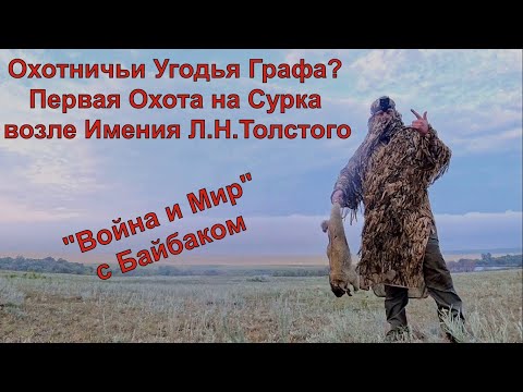 Видео: ОХОТНИЧЬИ УГОДЬЯ ГРАФА? Первая Охота на Сурка-Байбака возле Имения Л.Н.Толстого