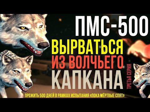 Видео: ПМС-500 ✮ ВЫРВАТЬСЯ ИЗ ВОЛЧЬЕГО КАПКАНА ✮ НОВЫЙ СТАРТ ✮ THE LONG DARK ✮#3