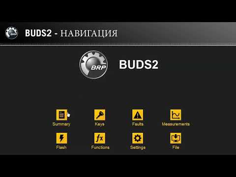 Видео: BRP Интерфейс BUDS2 новая программа для диагностики BRP