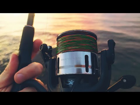 Видео: CADENCE ESSENCE 4000 MG и CADENCE PRIMO в деле! Рыба просыпается. Видео от канала Stormy Fishing