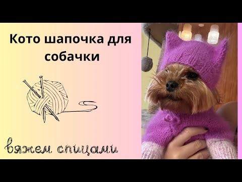 Видео: Кото шапочка для собак/ чепчик с ушками для собак/шапочка для собак/одежда для собак.