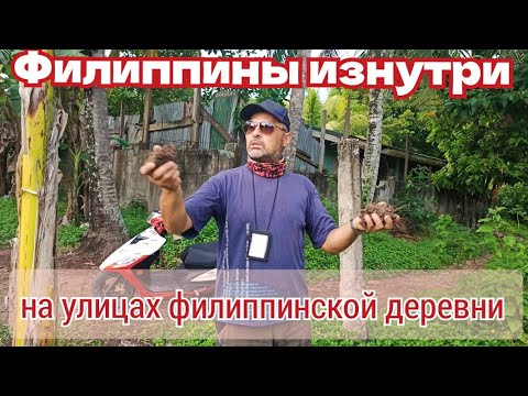 Видео: Филиппины, взгляд изнутри / Улицы филиппинской деревни в провинции острова Себу / Наш Катмон