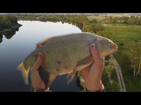 Видео: Фидер на Десне.  Маршрут проезда на рыбалку в Погребы к лещам