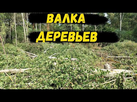 Видео: #5 Купил заброшенный участок для будущего дома/ ВАЛКА деревьев от ПРО/ 2022