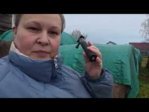 Видео: Выходной день, уборка у овец