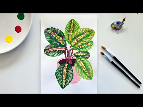 Видео: Рисуем тропический цветок маранта || Как нарисовать цветок