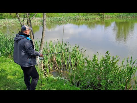 Видео: Рибалка На Сільському Ставку