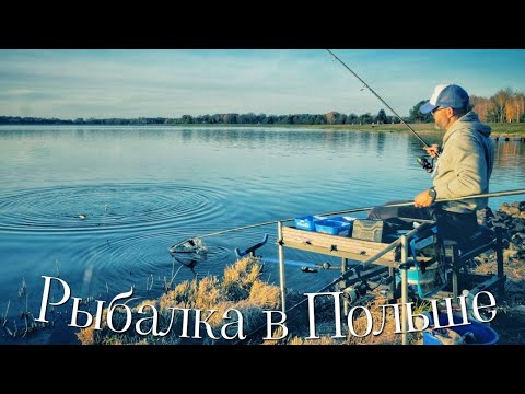 Видео: Фидер в Польше! Как Прошел Первый Спортивный Сезон 2025. Часть 2.