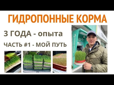 Видео: ГИДРОПОННЫЕ КОРМА - ПРОЕКТ КОРМ ПРОСТО. 3 года опыта. Часть #1 - Мой Опыт