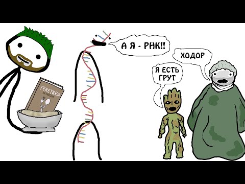 Видео: "Генетика на завтрак - Что такое РНК?" - Академия Брокколи ( не Сэм О'Нелла)