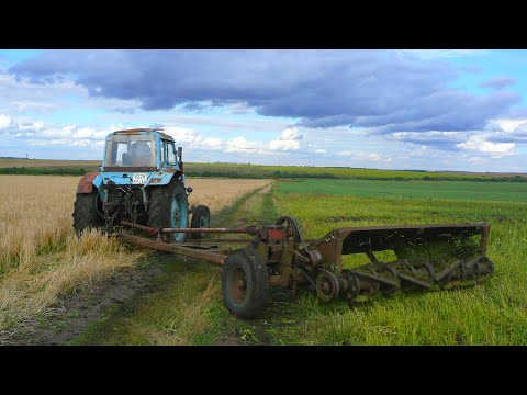 Видео: Запускаю с "пускача" МТЗ-80 и косим ботву картофеля. Акрос-530 на ячмене и я с ним на МАЗе.