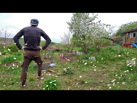 Видео: ПОКА СОХНЕТ ИМИТАЦИЯ КАМНЯ ! САДОВАЯ РЕШЕТКА ИЗ ХЛАМА НА ДАЧЕ ! ВОССТАНОВЛЕНИЕ ЗАБРОШЕННОЙ ДАЧИ !