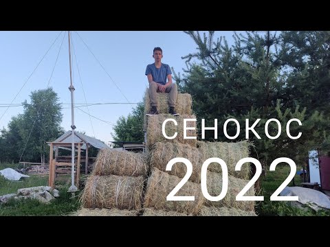 Видео: Сенокос с Dong Feng 244 / косилка / грабли-ворошилка  /Пресс-подборщик