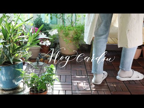 Видео: Наслаждайся весенней жизнью/Корейская еда/Садоводство/«Зеленая» жизнь