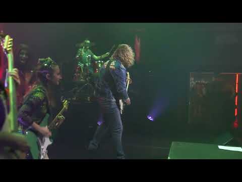 Видео: Funky Fight – “Лесник” (Король и Шут cover) 🌲🎶Live at Helitehas, Tallinn