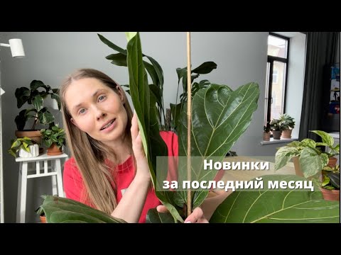 Видео: Новые растения. Март 2022.