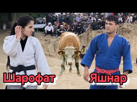 Видео: Шарофат ва Яшнар - Гуштини Ёвон 2025 @AJOIB_TV Yashnar polvon 2025 - ачоиб тв - гуштин 2025