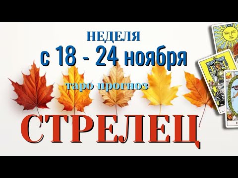 Видео: СТРЕЛЕЦ 🍁🍁🍁 НЕДЕЛЯ с 18 - 24 НОЯБРЯ 2024 года Таро Прогноз ГОРОСКОП