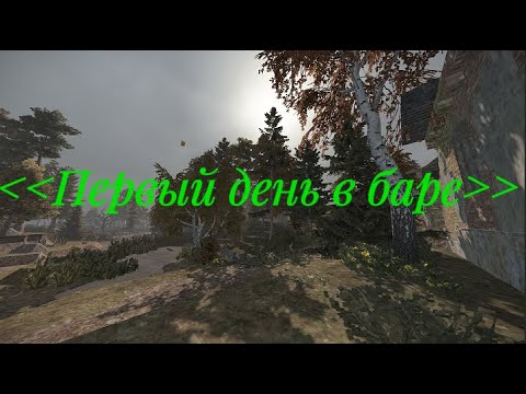 Видео: Первый день в баре I Короткометражка по STALCRAFT X