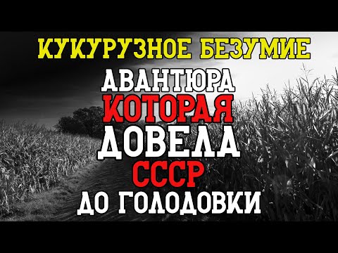 Видео: КУКУРУЗНОЕ БЕЗУМИЕ ХРУЩЕВА: Авантюра, которая довела СССР до ГОЛОДА!