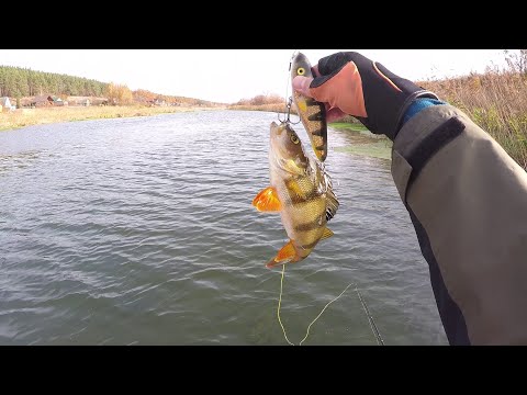 Видео: Осень. Джерки. Река Воронеж...