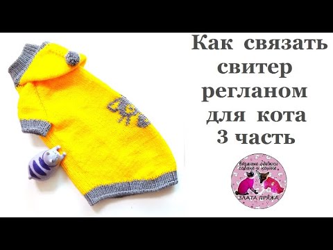 Видео: Как связать свитер регланом для кота  3часть