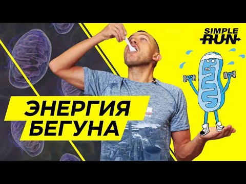 Видео: Электростанции 🏭 нашего тела - митохондрии🔬