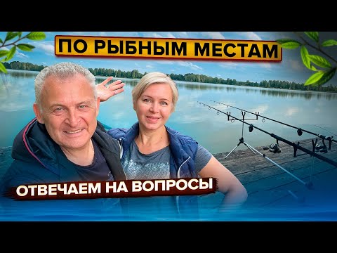 Видео: По рыбным местам Подмосковья. Рыбалка, как на "Черных Камнях". Отвечаем на вопросы подписчиков.