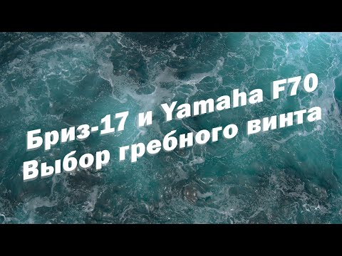 Видео: Бриз-17 и Yamaha F70. Выбор гребного винта