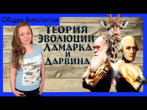 Видео: Теория эволюции Ламарка и Дарвина (сравнение).