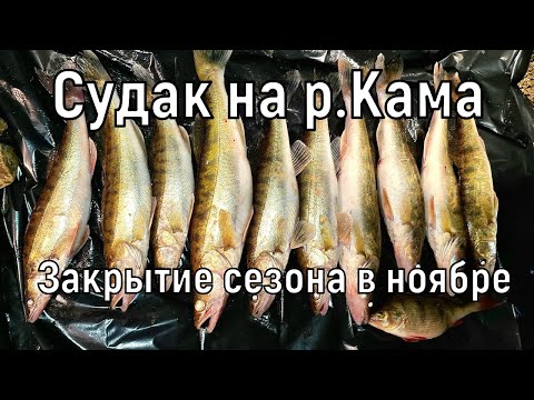 Видео: Рыбалка на судака в конце сезона р.Кама д.Масловка.