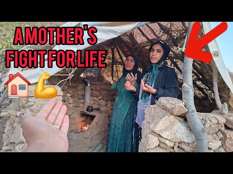 Видео: Бездомная мать борется за выживание среди диких животных и зимних морозов