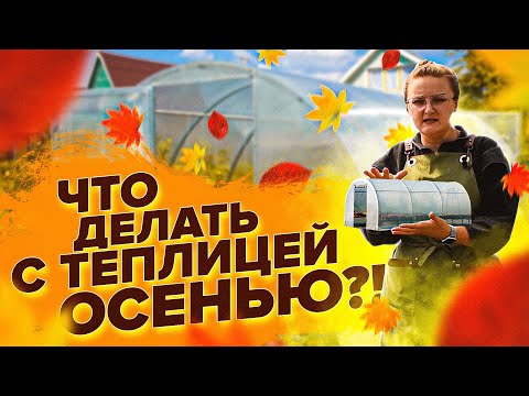 Видео: ТЕПЛИЦА ОСЕНЬЮ. ГОТОВИМ К НОВОМУ СЕЗОНУ!