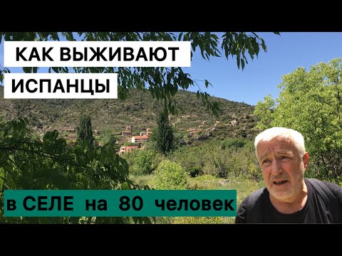 Видео: Как живут испанцы в селе на 80 человек 🤕🤔