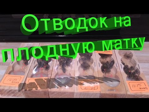 Видео: Профессор Кашковский: минимальное количество расплода для отводка