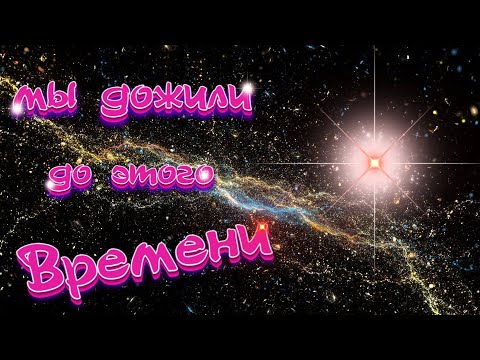 Видео: мы дожили до этого времени