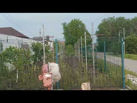 Видео: Установка шпалеры для молодого виноградника. #ставрополь #виноград #шпалера #сад #новинка