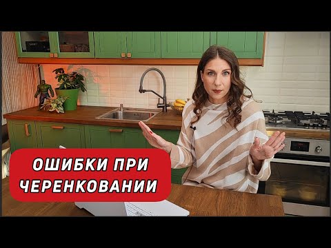 Видео: Ошибки черенкования туй|Из-за чего мы потеряли 25000 черенков?Только личный опыт