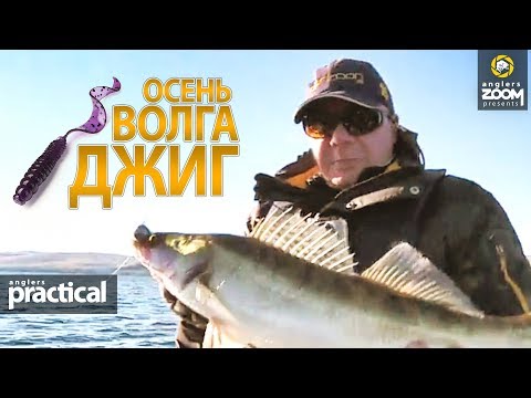 Видео: СУДАК с каждого заброса! ДЖИГ. Осень. Волга.  А.Соглаев. Anglers Practical