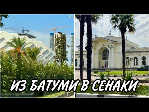 Видео: Из Батуми в Сенаки на родину мужа. Поти. Абаша. Самегрело. Грузия #georgia