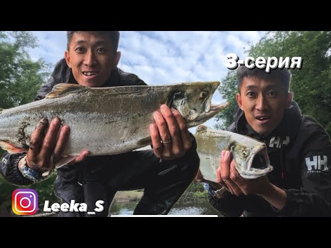 Видео: Сезон Горбуши /Семейство Лососевых/Сахалин/рыбалка/3-Серия