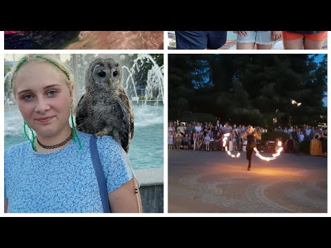 Видео: Море шикарное. Кафе пингвин 🐧 . Огненное шоу.